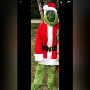 Grinch costume